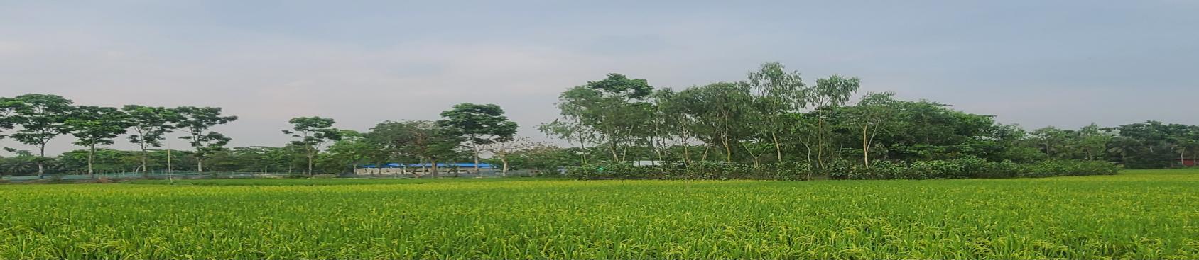 Channel Cover Photo